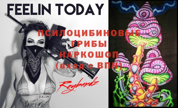 сатива Алексеевка